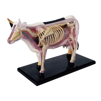 Анатомическая модел орган на животното 4D Интелект Крави Сглобяване на Играчки Обучение Анатомическая модел САМ Научно-популярна техника