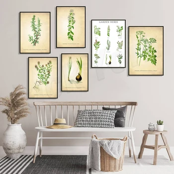 Инфографика за градински билки, плакат за билки и подправки, рисунки от чаено дърво, едно кафеено растение, ботаническата лого, декорация на кухня за приготвяне на храна