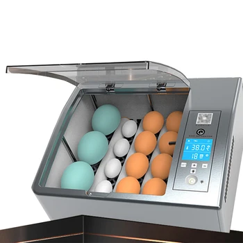 Напълно автоматичен инкубатор за яйца и птици, Автоматични Инкубатори за яйца за люпене на пилета, патици, гъски.