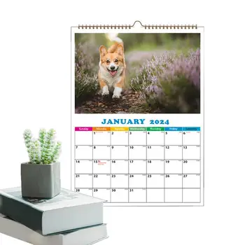 Стенен календар за кучета в 2024 година, сладки животни, стенен календар във формат А4, стенен календар за кучета, ежедневна декор на стените за апартамент