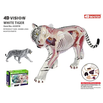 Анатомическая модел на белия тигър 4DVision, Анатомическая модел на черепа на животното, Скелета, Подвижни модел 