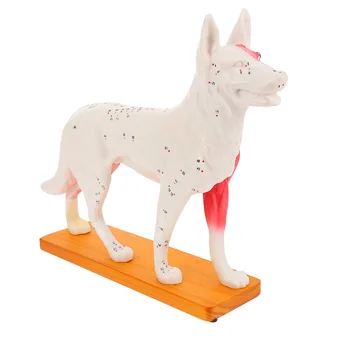 Инструмент за моделиране на акупунктурните точки за кучета, Инструменти за обучение, Учебни инструменти за акупунктура на тялото на Кучето, desk, за китайската медицина, Офис, PVC