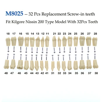 Тип Kilgore Nissin 200 С 32шт Зъби Модел е Подходящ За Практикуване на Подмяна на зъбите, Запълващи Ввинчивающиеся Туристи Модел M8025
